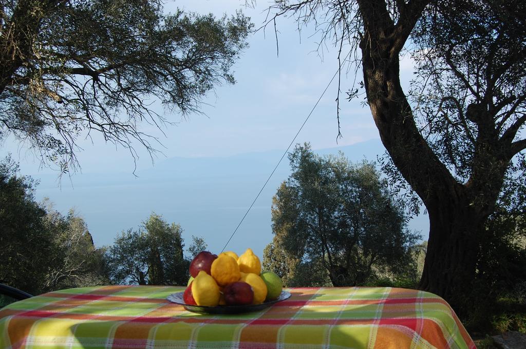 Chris And Nick Corfu Villa Mpoukaris Bilik gambar